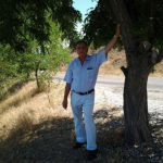 Yaşar