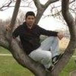 Murat