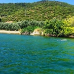 Melih