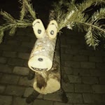 Onur