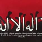 Ali