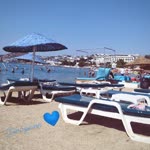 Dilek