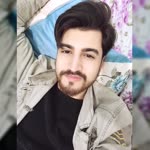 Şahin