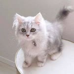 Emine
