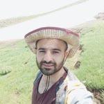 Sedat