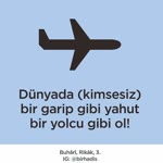 Aişe