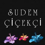 Sudem