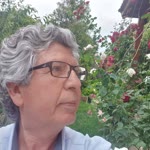 Cezmi