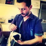 Şair