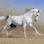 Huseyin
