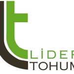 Lider