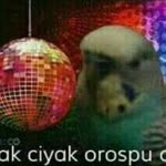 Emrecan