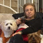 Aynur