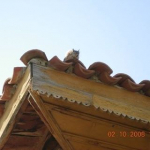 Erol