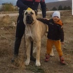 Uğur