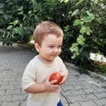 Alparslan