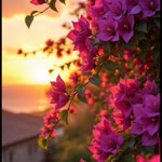 Elif