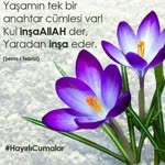 Humay