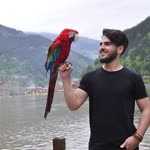 Onur