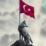 Profil fotoğrafı