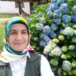 Deniz