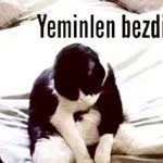 Evrim