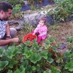 Fikret