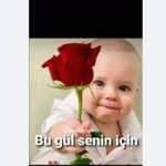 Gül