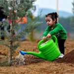 Faruk