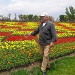 Bayar