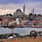 Ramazan