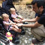 Serdar