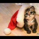 Rawan