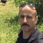 Umut