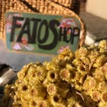Fatoş