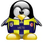 Mete