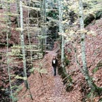 Çiğdem