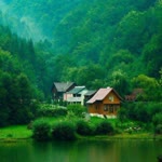 Metin