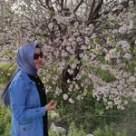 Yasemin