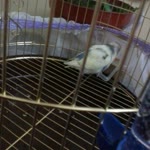 Profil fotoğrafı
