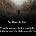 Duygu