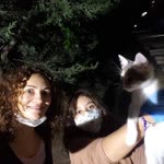 Pelin