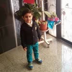 Halıl