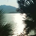 Doğan