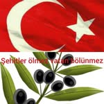 Can