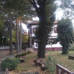 Zeynep