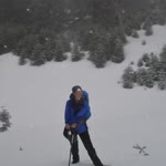 Sibel