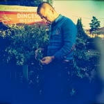 Cihad