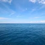 Aynur