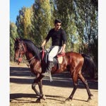 Ersin